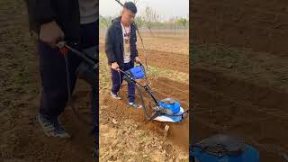 Rotary tillage weeding and furrowing [upl. by Hnim]