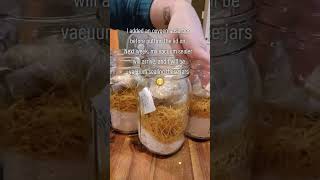 DIY Rice a Roni diy recipe homemade homestead [upl. by Yroger]