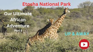 Etosha National Park Namibia [upl. by Berner]