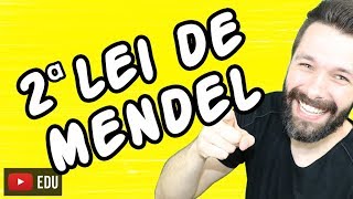 2 LEI DE MENDEL  GENÉTICA  Aula  Biologia com Samuel Cunha [upl. by Davide498]