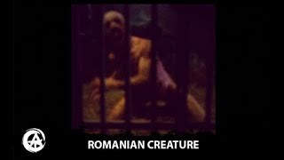 Strigoi Caught on Tape in Romanian Zoo Strange Humanoid Creature Sighting [upl. by Mad]