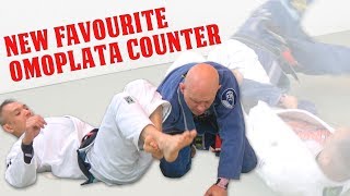 My New Favourite Omoplata Counter [upl. by Atibat]