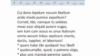 Catullus Hendecasyllabic Meter Lecture 05 of 05 [upl. by Beverie425]