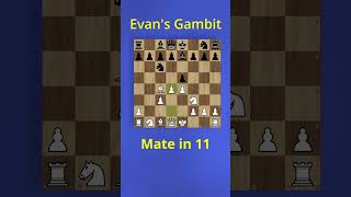 Win in 11 Moves with the Evans Gambit [upl. by Idnew622]