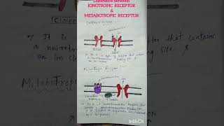 Difference bw Ionotropic amp Metabotropic Receptor Revision in just under 60 sec🔥 Neurotransmitters [upl. by Zelikow922]