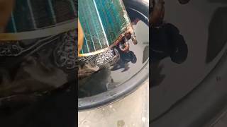 splite ac coling coil lekage short yt meme ytshortsindia electrical shortsvideo officalvideo [upl. by Neersin6]