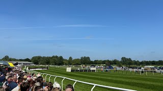 An Honest Day Punting  Fakenham Part 2 🐎 [upl. by Rafa]