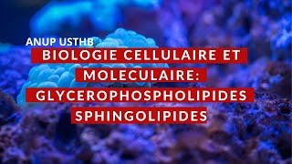 Biologie cellulaire et Moleculaire  Lipides membranaires ANUP USTHB [upl. by Giefer]