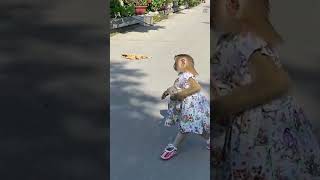 Monkey LyLy went to buy cake herself shorts monkey youtubeshorts viral petmonkey animals [upl. by Rhine]