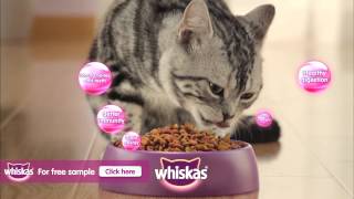 Whiskas Cat Food [upl. by Venetia262]