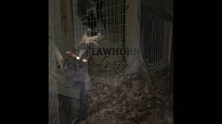 JJ Lawhorn quotThe Cost of a Good Houndquot Official Video [upl. by Yrbua7]