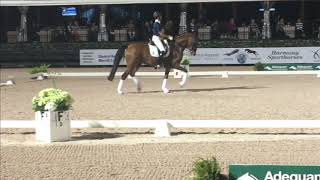 Carl Hester Masterclass Building Blocks of a Magical Trot [upl. by Domeniga]