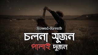 Cholna Sujon  চলনা সুজন  Slowed amp Reverb [upl. by Jerrilyn]