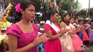 Tacuba Ahuachapan Fiesta de Las Primicias 2019 [upl. by Ethelda]