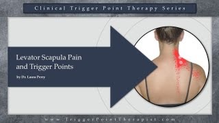 Levator Scapula Pain and Trigger Points [upl. by Justinian]