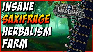 SAXIFRAGE Herbalism Farming Route  Best WoW Gathering Farm [upl. by Yert]