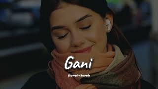 Gani slowed  reverb Akhil  new Punjabi song 2024  KL Lofi [upl. by Minor]