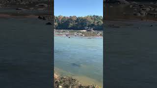 Congaree River viralvideo fyp nature riverrats [upl. by Bock]