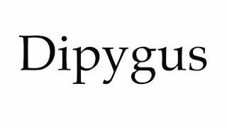 How to Pronounce Dipygus [upl. by Daniala]