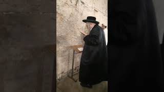 Rachov Rebbe Davening At The Kosel  Tammuz 5784 [upl. by Cherrita944]