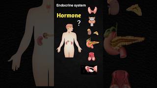 Endocrine System All Hormone shorts hormone anatomy [upl. by Laamak]