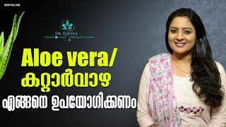 മുഖത്തും തലയിലും കറ്റാർവാഴ എങ്ങനെ ഉപയോഗിക്കണം Amazing Benefits amp Usage of Aloe Vera for Skin amp Hair [upl. by Valentina579]