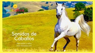 🍀 Sonidos del caballo galopando y relinchando para bebés y niños 🍀 [upl. by Oca]