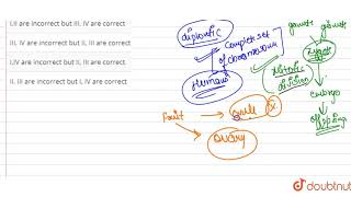 Choose the correct option fron following statements I During embryogenesis zygate undergoes [upl. by Clo]