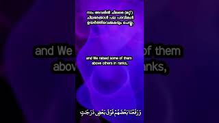 Why Quran was not sent to some important man Surah AzZukhruf 3132English and Malayalam Subtitle [upl. by Lakin]