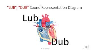 STUDY OF PHONOCARDIOGRAM [upl. by Corbie]