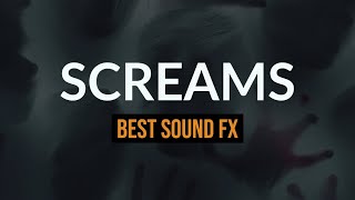 Best Scream 😱 Sound Effects  Female Male Zombie Horror Screams And Shrieks [upl. by Hengel723]