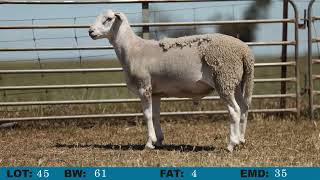 LOT 45 Orrie Cowie 2024 On Property Sale [upl. by Swithin]