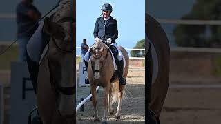 ¿SOIS MÁS DE VAQUERA O CLÁSICA horse caballos equestrian dressage [upl. by Ibib863]