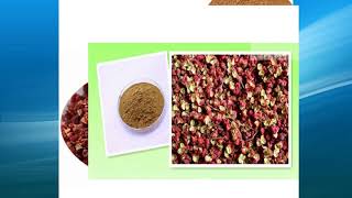 zanthoxylum extract supplierwholesalebulkfactory [upl. by Aeirdna]