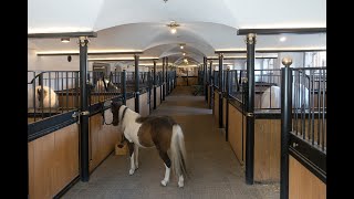 ASMRAMBIENCE Horse Stables Ambience Sounds  1 HOUR [upl. by Suckram739]