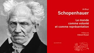 SCHOPENHAUER Le Monde comme Volonté et comme Représentation  LIVRE 1 en entier [upl. by Ludovico3]