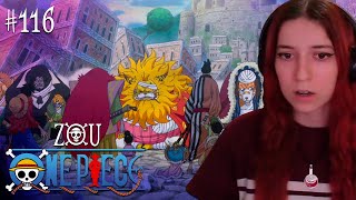 REACCIÓN A ONE PIECE 👒🏴‍☠️ RECOPILACIÓN 116  ARCO ZOU  EP 763  767  RAIZO ESTÁ A SALVO 🙌🏼 [upl. by Nocaj842]