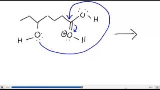 Intramolecular Esterification Lactone [upl. by Raybin]