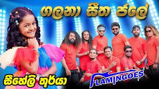 Galana Seetha Jale ගලනා සීත ජලේ  Siheli Thurya Live Performance With Ahungalla Flamingoes [upl. by Jobina]