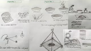 Hsc agriculture practical 2nd paper drwing 2023 এইসএসসি কৃষি শিক্ষা ব্যবহারিক ২য় পএের সকল চিএ [upl. by Eatnuhs]