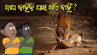 ବାଘ କାହିଁକି ଖାଲି ମାଂସ ଖାଏ  Why Tiger Eat only Meat [upl. by Winthorpe]