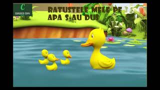 Ratustele mele pe apa sau dus  Cantece pentru copii  Kids  Songs [upl. by Aggarwal]