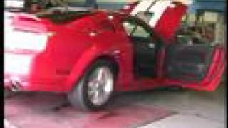 2006 Mustang GT Dyno Pull Video [upl. by Ydrah290]