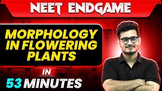 MORPHOLOGY OF FLOWERING PLANTS in 53 Minutes  NEET 2024 [upl. by Cathee]