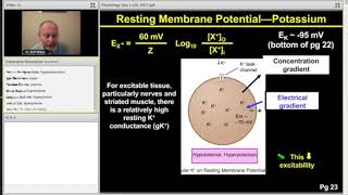 Membrane Potential  Step 1 Physiology [upl. by Laina]