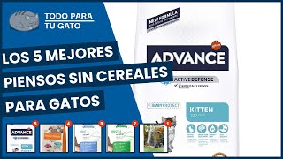 Los 5 mejores piensos sin cereales para gatos [upl. by Jack]