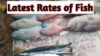 Fish Video  Latest Rates of Fish  Karachi fishery Market on 3rd Feb 2024 [upl. by Hawley]