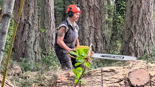 Running a chainsaw [upl. by Kort]