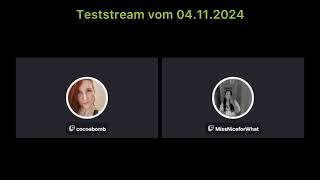 Streamausschnitt Teil 2 ✨Über Boomer Rassismus und das NWort✨ [upl. by Atteras]