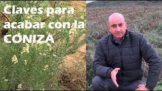 Claves para acabar con la CONIZA [upl. by Mair]